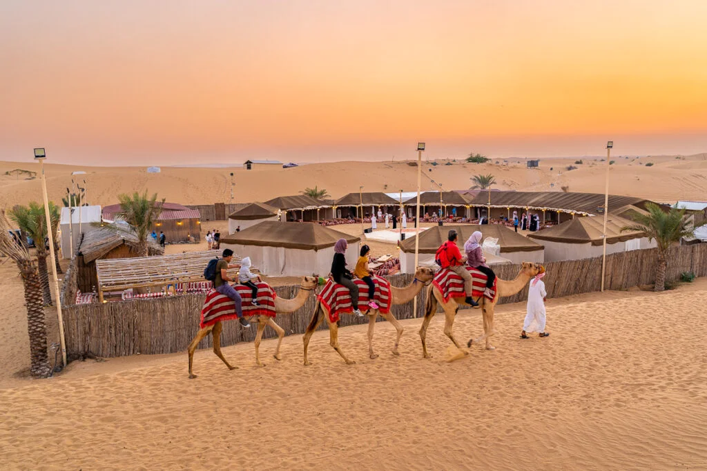 Professional desert photography with golden sunset