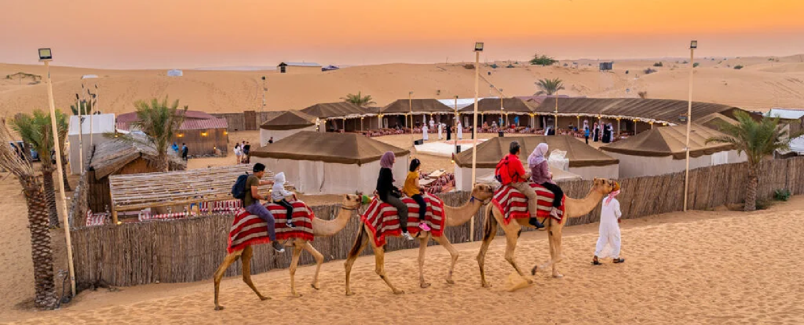 Luxury desert camp with sunset and camels